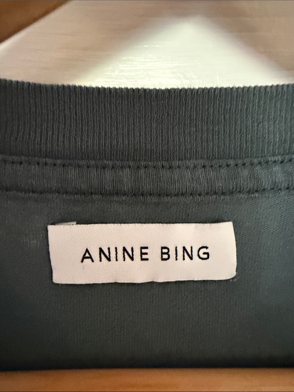 ANINE BING Men's Teal Graphic Eagle Tee - Picture 2 of 7
